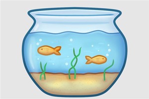 住宅風水における水槽の注意点