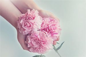 花の配置における風水のポイント