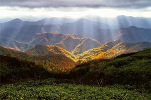 正規版二十四山分金の詳細解説