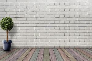 住宅にはどのような風水植物を置くのが適していますか？