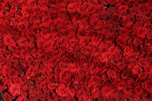 なぜ辰砂をたくさん身につけると逆に邪気を招くのか