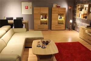 リビングに置くと良い植物は？